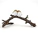 Top Collection 4404 Miniature Fairy Garden & Terrarium Lover Birds on Branch Statue, Small