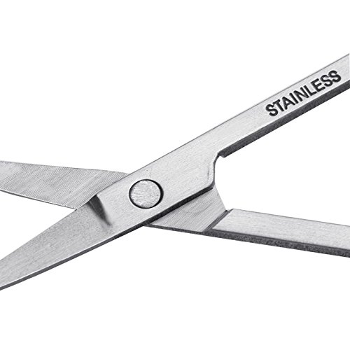Autumn Water 1Pc Cuticle Cutter Stainless Steel Dead Skin Remover Pedicure Scissors Nail Tool Drop Shipping Support