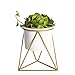 NCYP Geometric Iron Rack Holder Metal Stand Gold with White Ceramic Planter Indoor Desktop Garden Pot for Succulents Herbs Cactus Modern Style Window Sill Decorative Bonsai ( NO Plants )