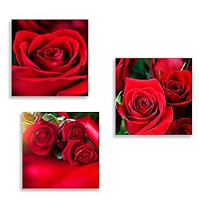 3 Panel Canvas Wall Art Romantic Rose Pictures Home Wall Decorations for Bedroom Living Room Paintings Canvas Prints Framed - 12"x12"x3 Panels