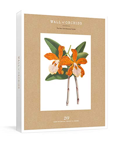 Wall of Orchids: 20 Rare Botanical Prints to Frame (New York Botanical Garden) by The New York Botanical Garden