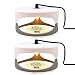Aspectek HR2311X2 Sticky Dome flea Insect Trap, 2 Pack, White