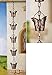 Decorative Butterfly Iron Rain Chain