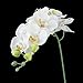 Tinksky Simulation Butterfly Orchid Artificial Flower Plant Home Decoration (White)