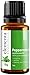Peppermint Essential Oil - 100% Pure Therapeutic Grade 15ml (Comparable to DoTerra and Young Living) for Energy Settling and Purifying