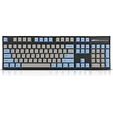 Leopold FC900R Mechanical Keyboard with Cherry MX Blue Switch (Black Case, Blue/Grey PBT Doubleshot Keycaps, 104 keys, ANSI/US)