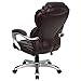 Flash Furniture Stella High Back Brown LeatherSoft Executive Swivel Ergonomic Office Chair with Arms
