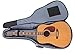 Glenmi Bohemian Acoustic Guitar Case for Girls,Soft Foam Padded 40 41 Inch Guitar Gig Bag Backpack with Neck Protector Pillow Pad,Dual Shoulder Strap&pocket …