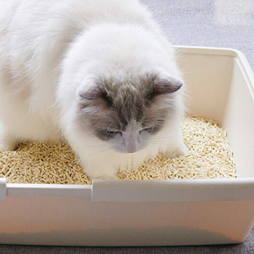 Furberry 2 Pack Natural Tofu Cat Litter Pellets Clumping Flushable
