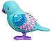 Little Live Pets Season 8 Bird Single Pack - Shelly Shimmer