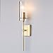 Linea di Liara Effimero One-Light Wall Vanity Corridor Sconce Lamp, Brushed Brass with Clear Glass Cylinder LL-WL31-GLD