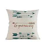 Woaills Throw Pillow case, Decorative Feather Arrow Printing Cushion Cover 18 x 18 Inches, Invisible Zipper (D)
