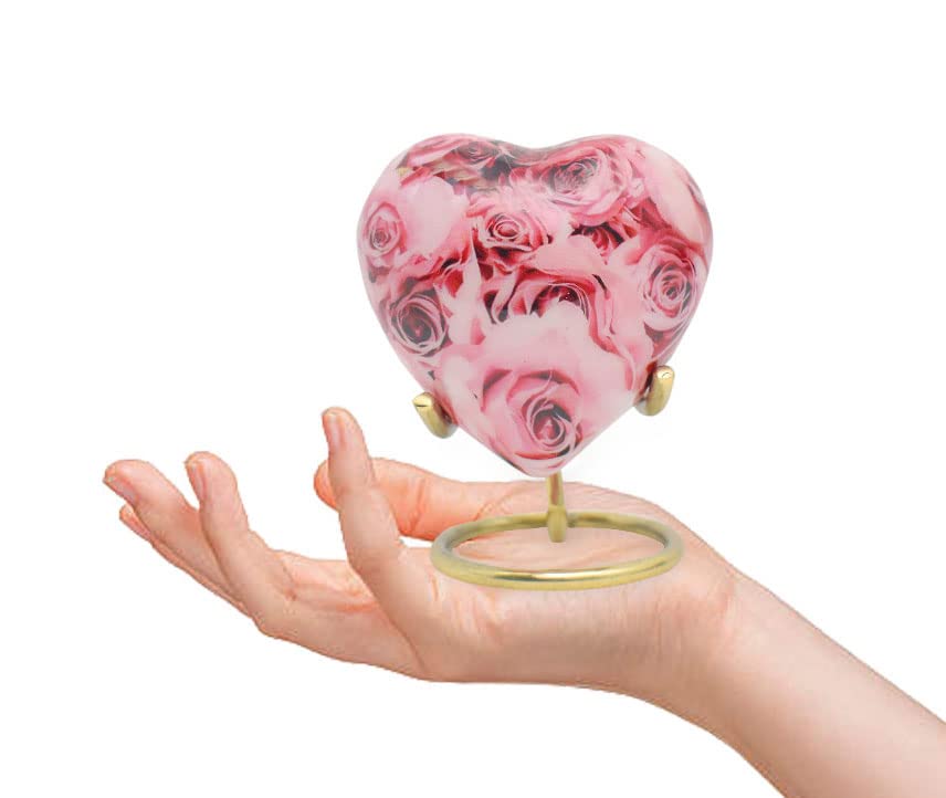 View 8