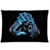 Carolina Panthers Custom Pillowcase Pillow Case Cover Standard Size 16*24 Inch (Twin Sizes)