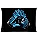 Carolina Panthers Custom Pillowcase Pillow Case Cover Standard Size 16*24 Inch (Twin Sizes)
