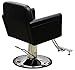 ShengYu Hydraulic Barber Chair Styling Salon Work Station Chair