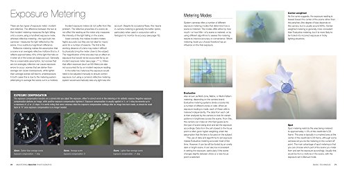 Mastering Macro Photography - Thumbnail 6
