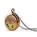 RoyAroma 2PCS Chocolate Color Aromatherapy Essential Oil Diffuser Necklace Pendant Locket Jewelry, 24