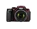 Nikon COOLPIX P520 18.1 MP CMOS Digital Camera with 42x Zoom Lens and Full HD 1080p Video (Red) (OLD MODEL)