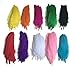 Dxeud Colorful Goose Feathers 100pcs/pack/(10pcs X10colors) (6-8 inch)