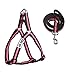 ColPet Dog Leash Harness Adjustable & Heavy Duty Durable Neoprene Dog Leash Collar with Elastic Leash for Training Walking Running, Best for Small Medium Dog, Small, Pink