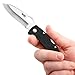 SOG Specialty Knives & Tools SP01-CP Sogzilla Knife with Straight Edge Folding 3.25-Inch Steel Clip Point Blade and GRN Handle, Satin Finish