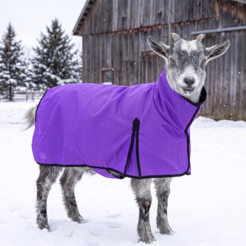 Abbylike Waterproof Goat Blanket