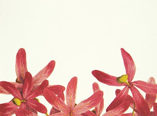 Caskata Studio 10-Count Boxed Correspondence Cards, Pink Spray Orchid (CAS12085)