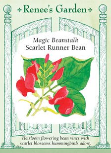 Runner Bean - Magic Beanstalk Seeds Runner Bean - Magic Beanstalk Seeds
