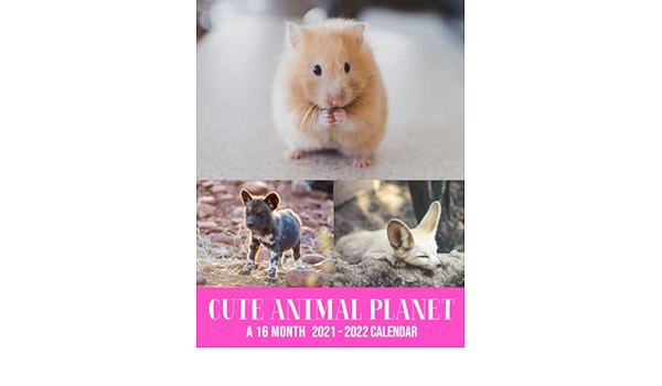 Amazon - Cute Animal Planet A 16 Month Calendar 2021-2022: 16-Month  September 2021 To December 2022 Monthly Planner For Animal lovers, Home,  Office Supplies: Buzz Publisher: 9798468721674: Books