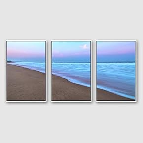 Framed Canvas Wall Art for Living Room,...