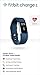 Fitbit Charge 2 Heart Rate + Fitness Wristband, Blue, Large (US Version), 1 Count
