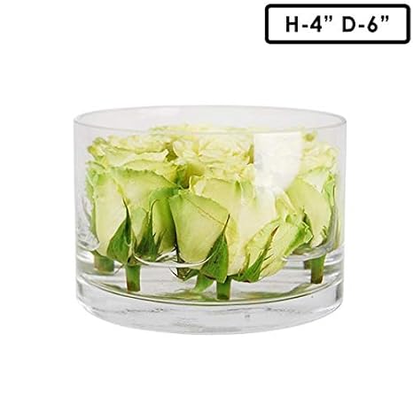 Amazon Com Cys Excel Pack Of 1 Glass Cylinder Vase Floating