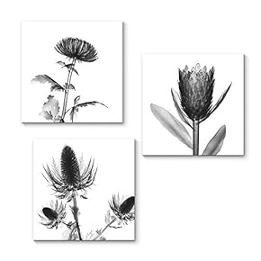 Canvas Wall Art Transparent Beautiful Flowers Painting Artwork for Home Prints Framed - 12"x12"x3 Panels