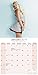 Pin Up Calendar - Adult Calendar - Bikini Calendar - Calendars 2018 - 2019 Wall Calendars - Retro Pin ups 16 Month Wall Calendars by Avonside