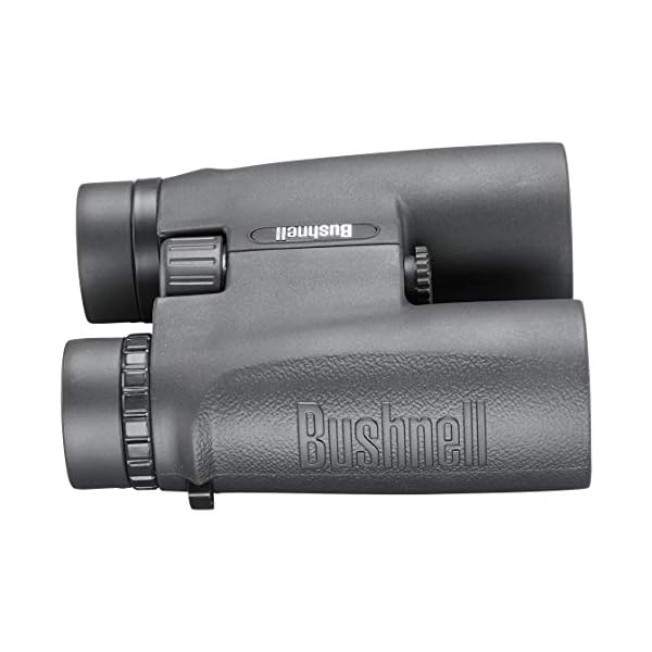 Bushnell - Allzweck - 10x42 - Schwarz - Dachkantprisma - Fernglas - Vogelbeobachtung - Sightseeing - Reisen - Wildtiere… – Bild 8