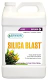 Botanicare SILICA BLAST Plant Supplement 0-0-0.5 Formula, 1-Gallon