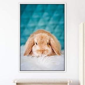 signwin Framed Canvas Wall Art Bunny Animals Bedroom...