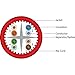Vertical Cable Cat6A 10G, UTP, 23AWG, Solid Bare Copper, PVC, 1000ft Bulk Ethernet Cable, Red