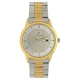 Titan Men's 'Neo' Classique Fashion/Casual/Business/Luxury Mineral Quartz Dial -Leather/Brass and Silver Toned Strap