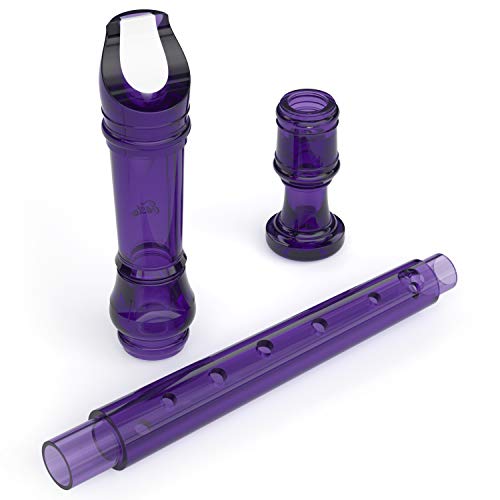 4 Eastar+Recorder+Instrument+Fingering+Cleaning