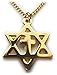 Messianic GOLD Star of David Jews for Jesus Christians for Israel Cross Pendant Necklace w/chain