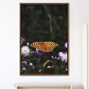 signwin Framed Canvas Wall Art Butterfly Expressive Farmhouse/Country...