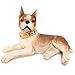 18k Big Gold Dog Necklace,Large Medium Dogs Boys Girls, Personalized 19mm Wide 16-26Inches Oversized Thick Cuban Link Dog Collar