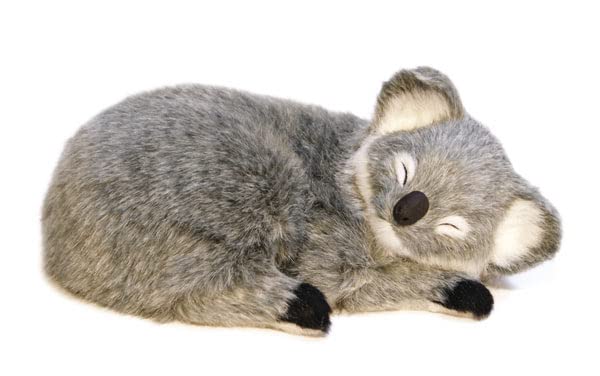 Perfect Petzzz Koala, the Puppy Breathing