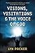 Visions, Visitations and the Voice of God: Prophetic Activations to Develop Your Ability to See and Hear in the Spirit