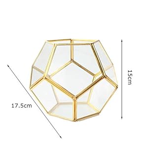 MINGZE Terrario a forma di pentagono, trasparente, formato da dodici lastre pentagonali in vetro, vaso per piante grasse…