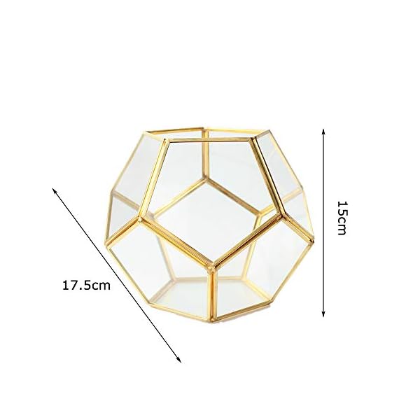 MINGZE Terrario a forma di pentagono, trasparente, formato da dodici lastre pentagonali in vetro, vaso per piante grasse…