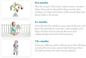 meadow days soothe n groove mobile