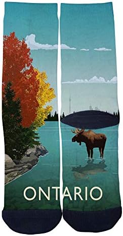 Custom Men's Women's Retro Ontario Stunning lakes Niagra Falls Poster Socks Novelty Cartoon Creative Casual Crew Socks